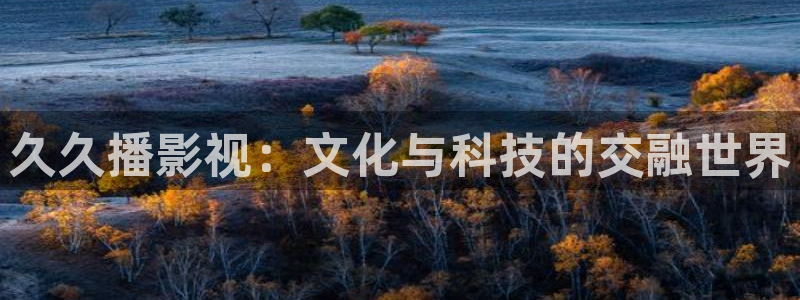 飘雪影片：久久播影视：文化与科技的交融世界