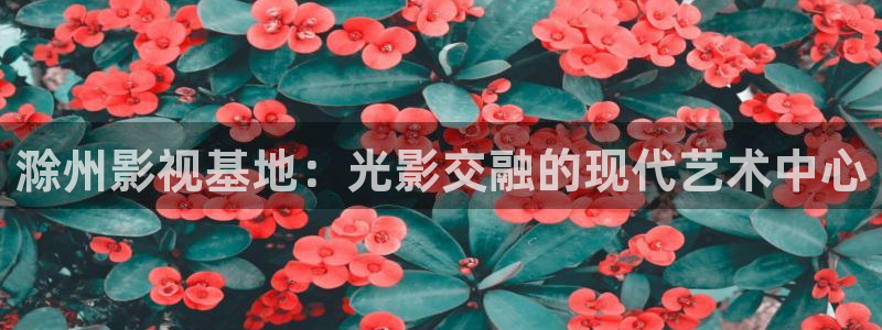 飘雪影院在线观看免费