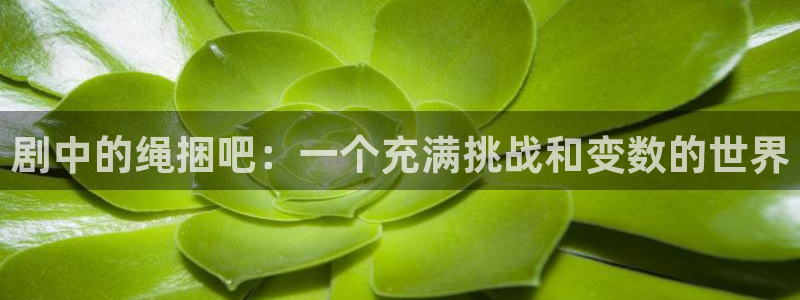 飘雪影视私人影院